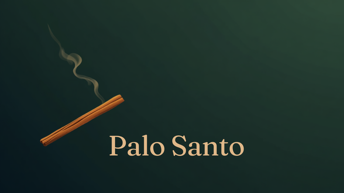 Palo Santo – heiliges Holzstäbchen mit Rauchfahne auf dunkelgrünem Hintergrund, Temple of Desire Blog-Header