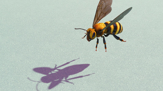 Krafttier Biene: Entdecke deine innere Stärke & Schaffenskraft