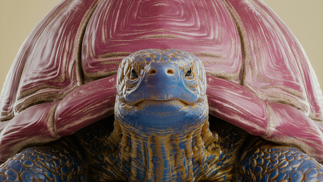 Krafttier Schildkröte: Entdecke deine innere Stärke & Gelassenheit