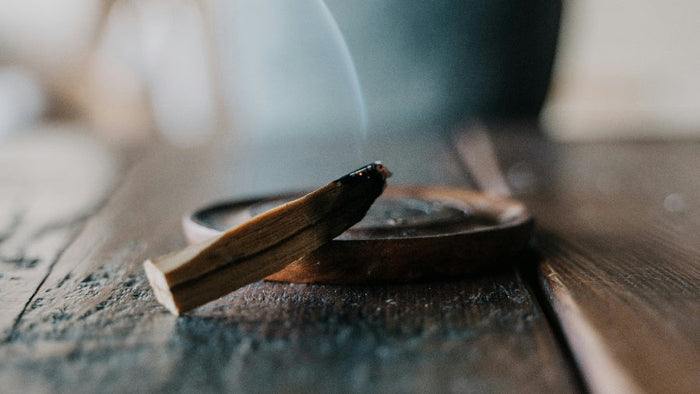 Palo Santo: Wirkung & richtige Anwendung des heiligen Holzes – spirituelle Bedeutung & Wissen | Temple of Desire