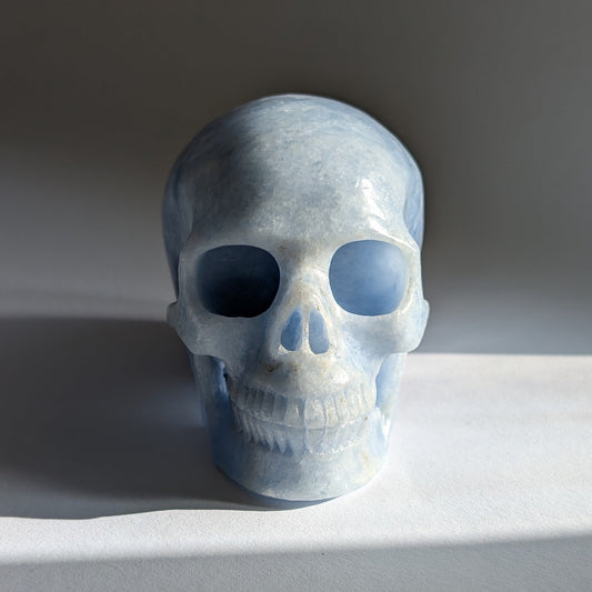 Ein 660g schwerer, handgeschnitzter Kristallschädel 'Hulu' aus zartblauem bis weißem Anhydrit, der eine friedvolle Energie ausstrahlt.