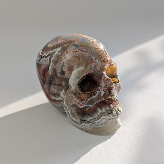 Ein 79g schwerer, handgeschnitzter Kristallschädel 'Mina' aus Crazy Lace Achat mit hypnotischen, verspielten Mustern.