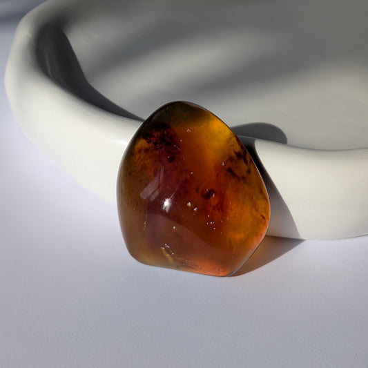 Ein glatt polierter Bicolor-Bernstein 'Funke der Vorzeit', der im Licht von tiefrot zu leuchtend gold schimmert.