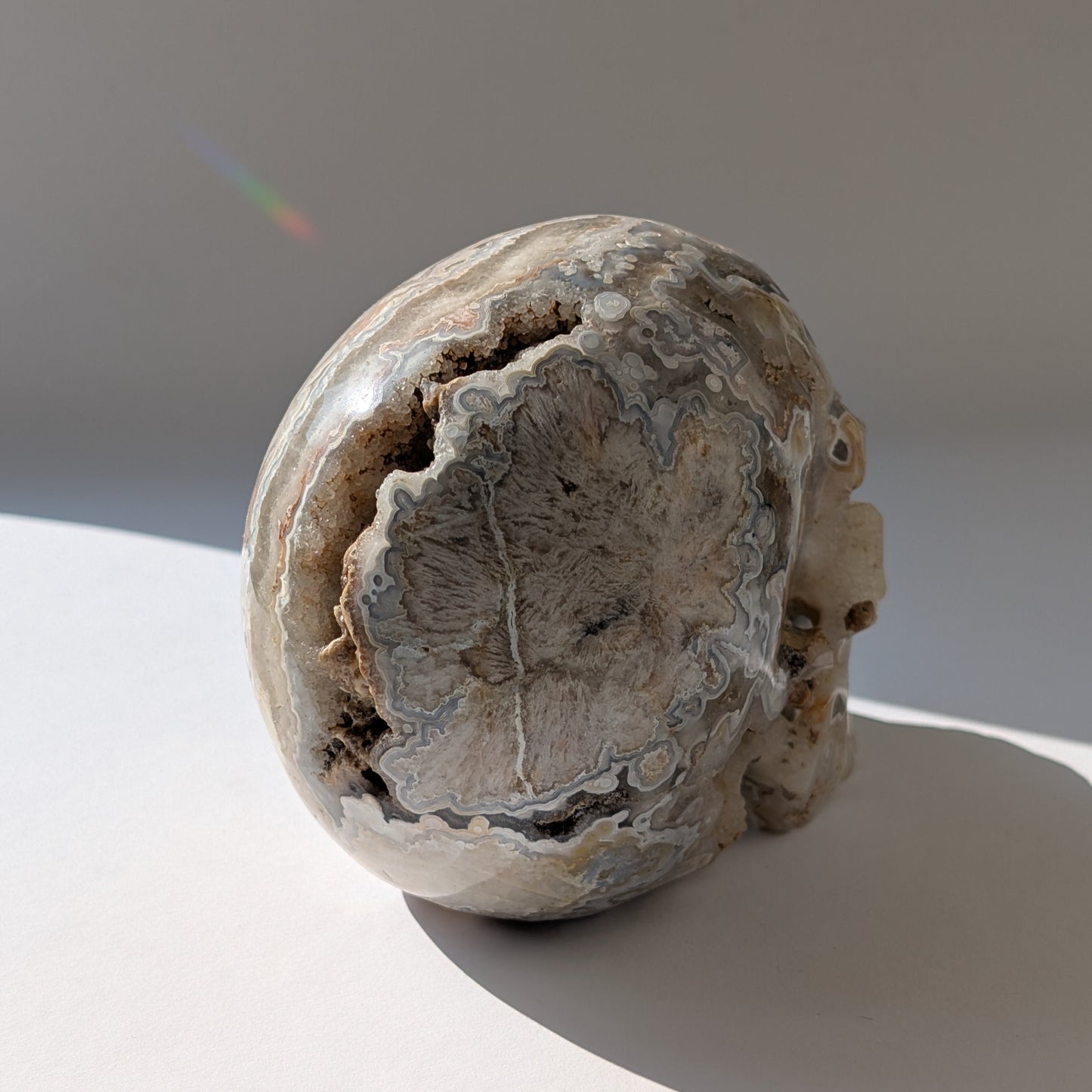 Ein monumentaler, 1292g schwerer Kristallschädel 'Der Wächter der Freude' aus Crazy Lace Achat mit hypnotischen Mustern und einer großen, offenen Druzy-Geode am Hinterkopf.