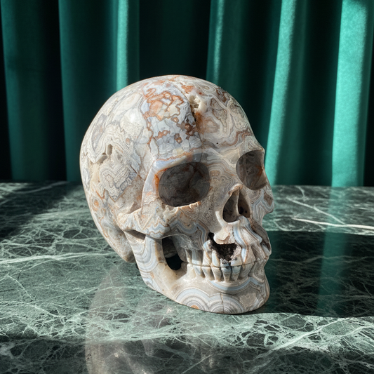 Ein monumentaler, 1301g schwerer Kristallschädel 'Rondar' aus Crazy Lace Achat mit hypnotischen Mustern und einer großen, offenen Druzy-Geode am Hinterkopf.
