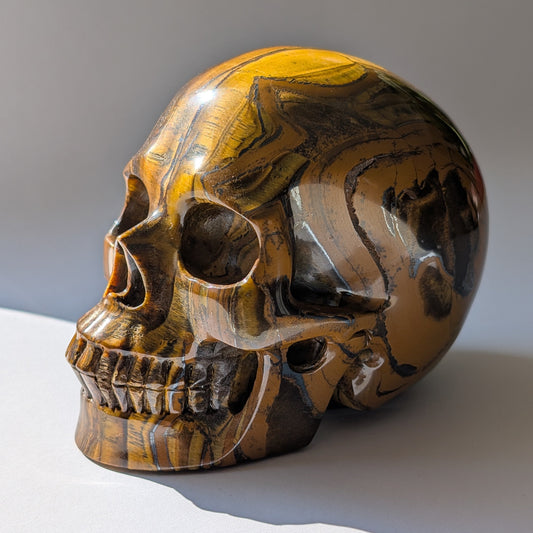 Ein monumentaler, 1480g schwerer Kristallschädel 'Thar' aus Tigerauge mit einem hypnotisierenden, goldenen Schimmer (Chatoyance).