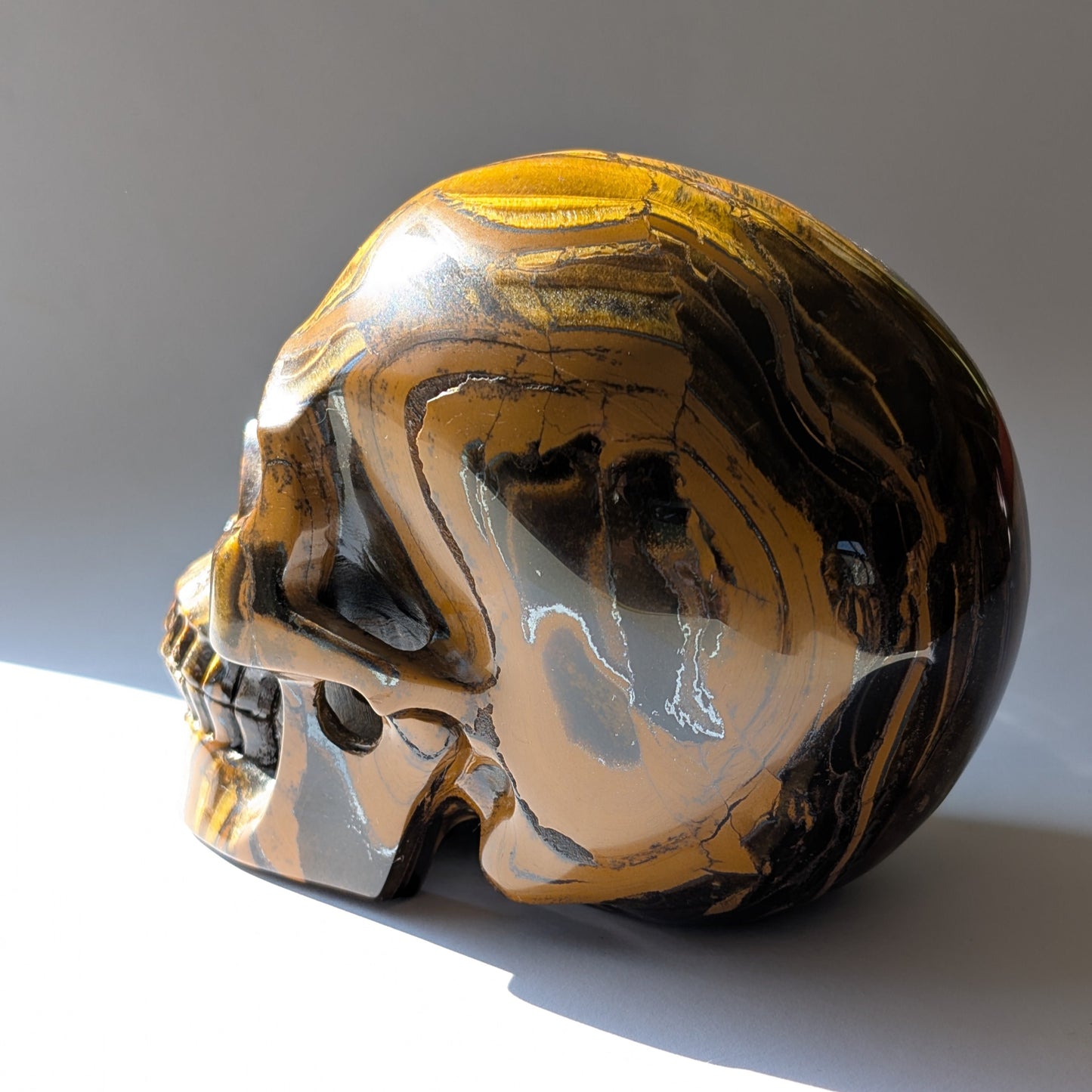 Ein monumentaler, 1480g schwerer Kristallschädel 'Thar' aus Tigerauge mit einem hypnotisierenden, goldenen Schimmer (Chatoyance).