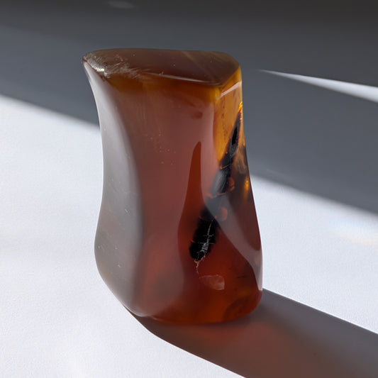 Einzigartiger Bicolor-Bernstein 'Die Seele des Urwaldes' mit inneren Strukturen, die an urzeitliche Pflanzenreste und Rinde erinnern.