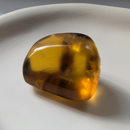 Einzigartiger Bicolor-Bernstein 'Die Träne der Sonne' mit mystischen, nebelartigen inneren Strukturen, die an eingefangenen Rauch erinnern.