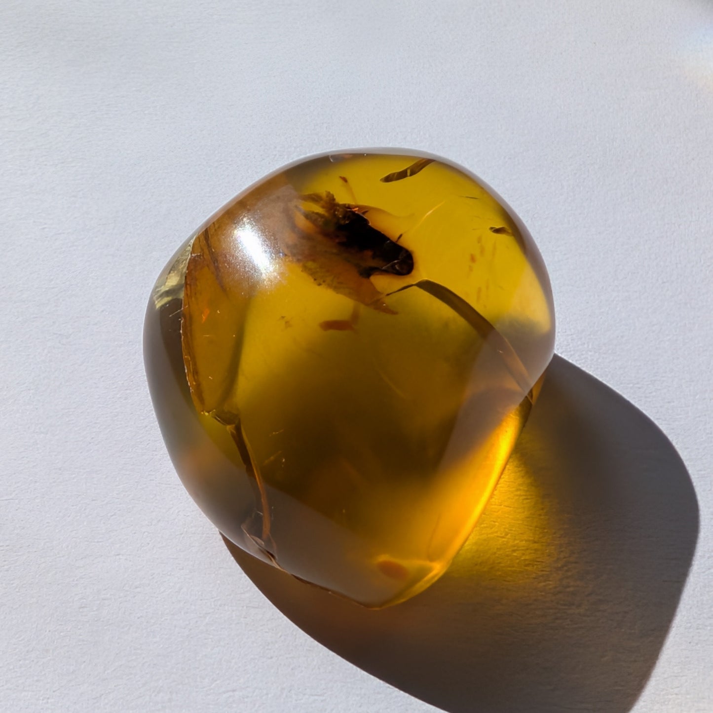 Einzigartiger Bicolor-Bernstein 'Die Träne der Sonne' mit mystischen, nebelartigen inneren Strukturen, die an eingefangenen Rauch erinnern.