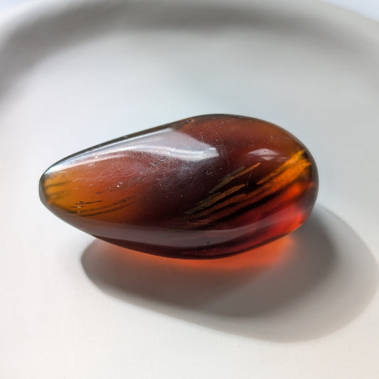 Eleganter, tropfenförmiger Bicolor-Bernstein 'Die Träne der Sonne', der von tiefem Kirschrot zu leuchtendem Gold schimmert.