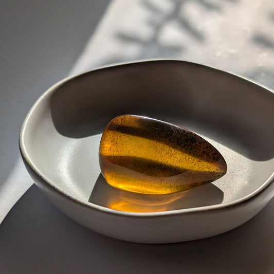 Eleganter, von Natur aus tropfenförmiger Bicolor-Bernstein 'Die Träne der Sonne', der von tiefem Kirschrot zu leuchtendem Gold schimmert.