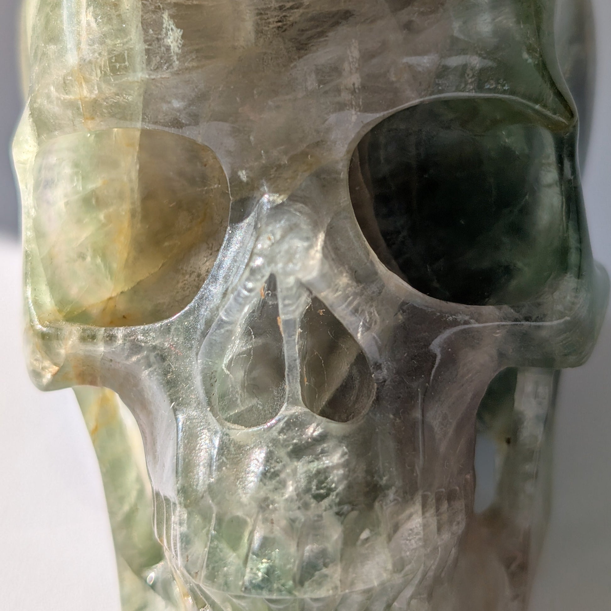 Großer Kristallschädel "Munari" (1.57kg) aus grün-gelb gebändertem Fluorit (Flachkopf-Stil)