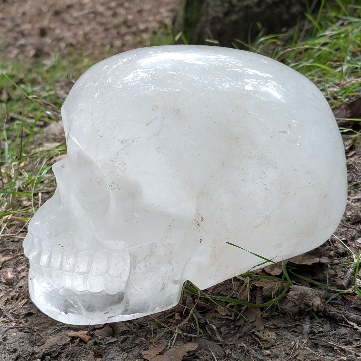 Kristallschädel "Dhanvantari" aus milchigem Quarz.