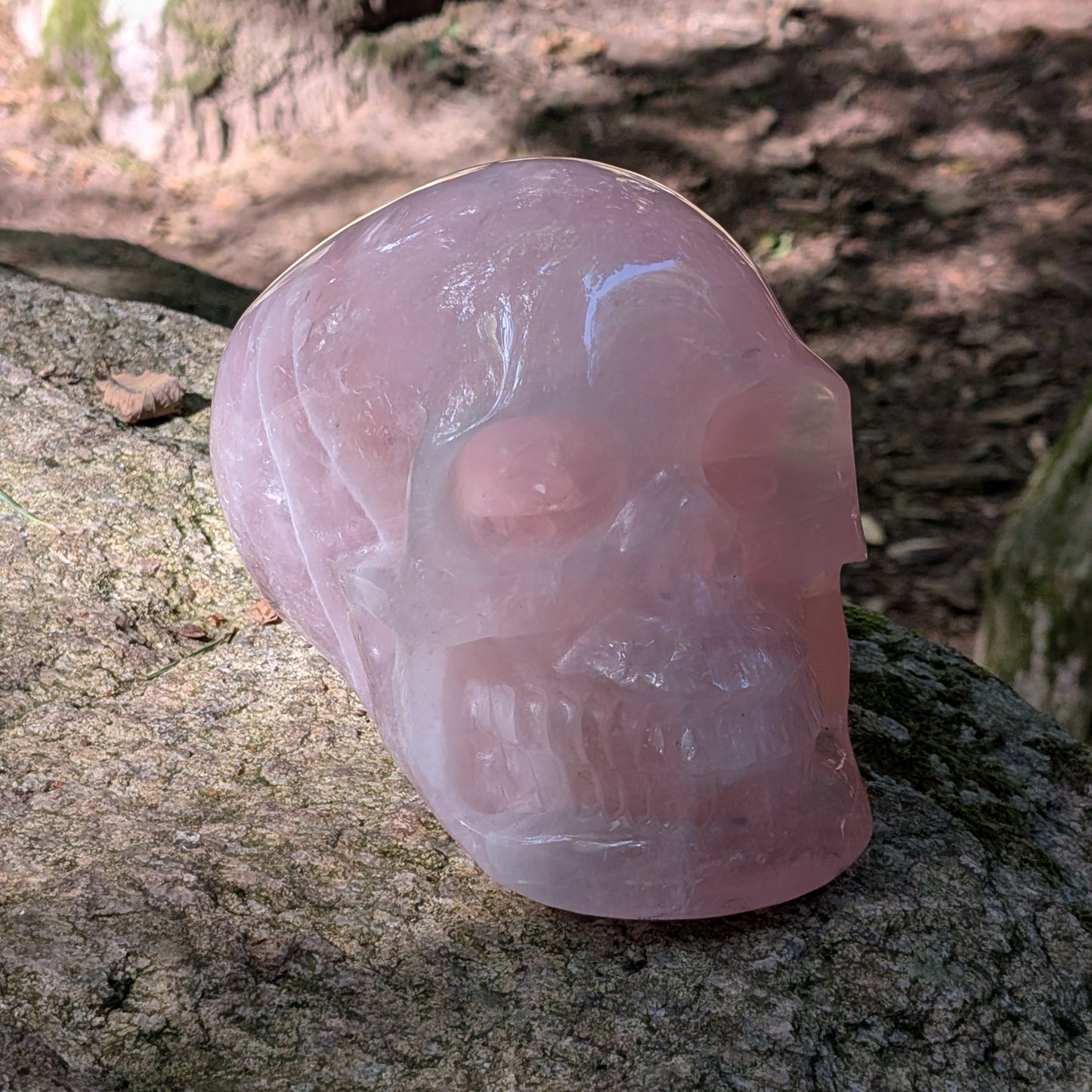 Kristallschädel "Elara" aus milchig-rosa Rosenquarz mit inneren Regenbogen-Einschlüssen.