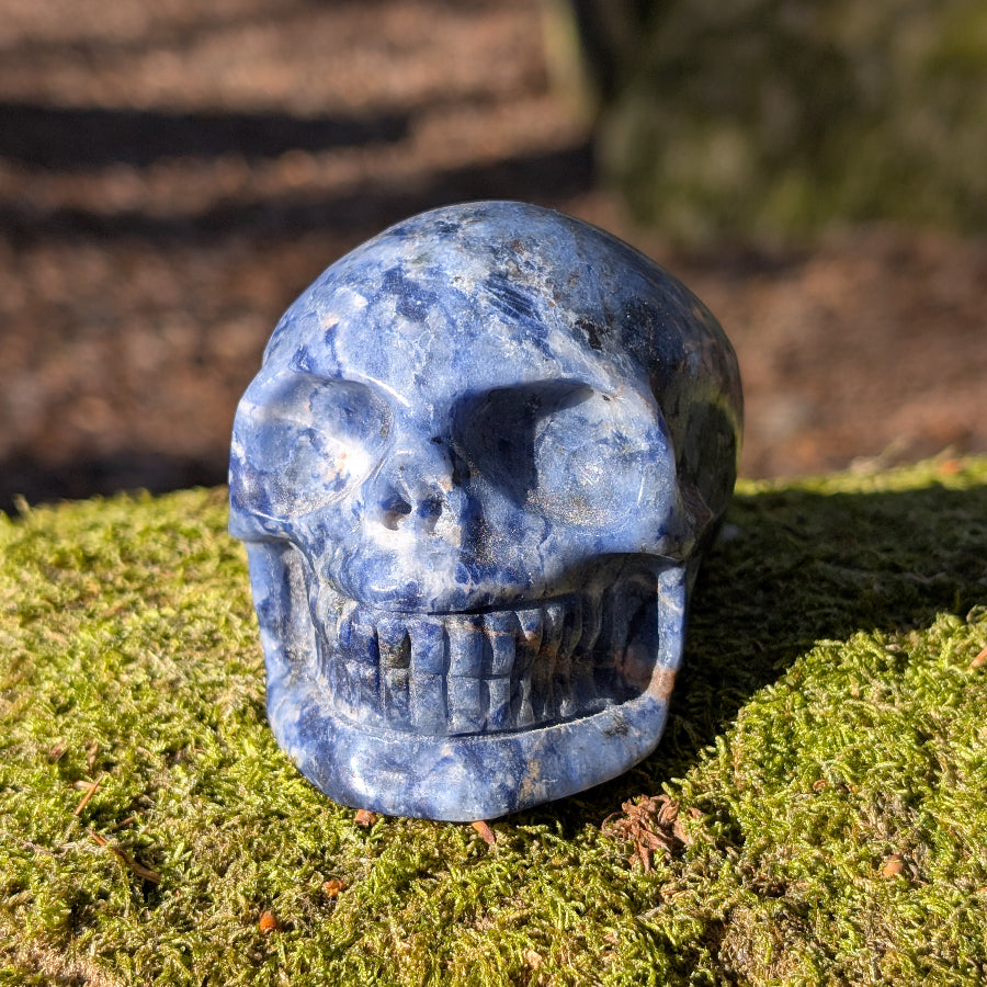 Kristallschädel "Eugen" aus Sodalith-Natronstein | Spirituelles Kraftobjekt