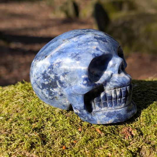 Kristallschädel "Eugen" aus Sodalith-Natronstein | Spirituelles Kraftobjekt