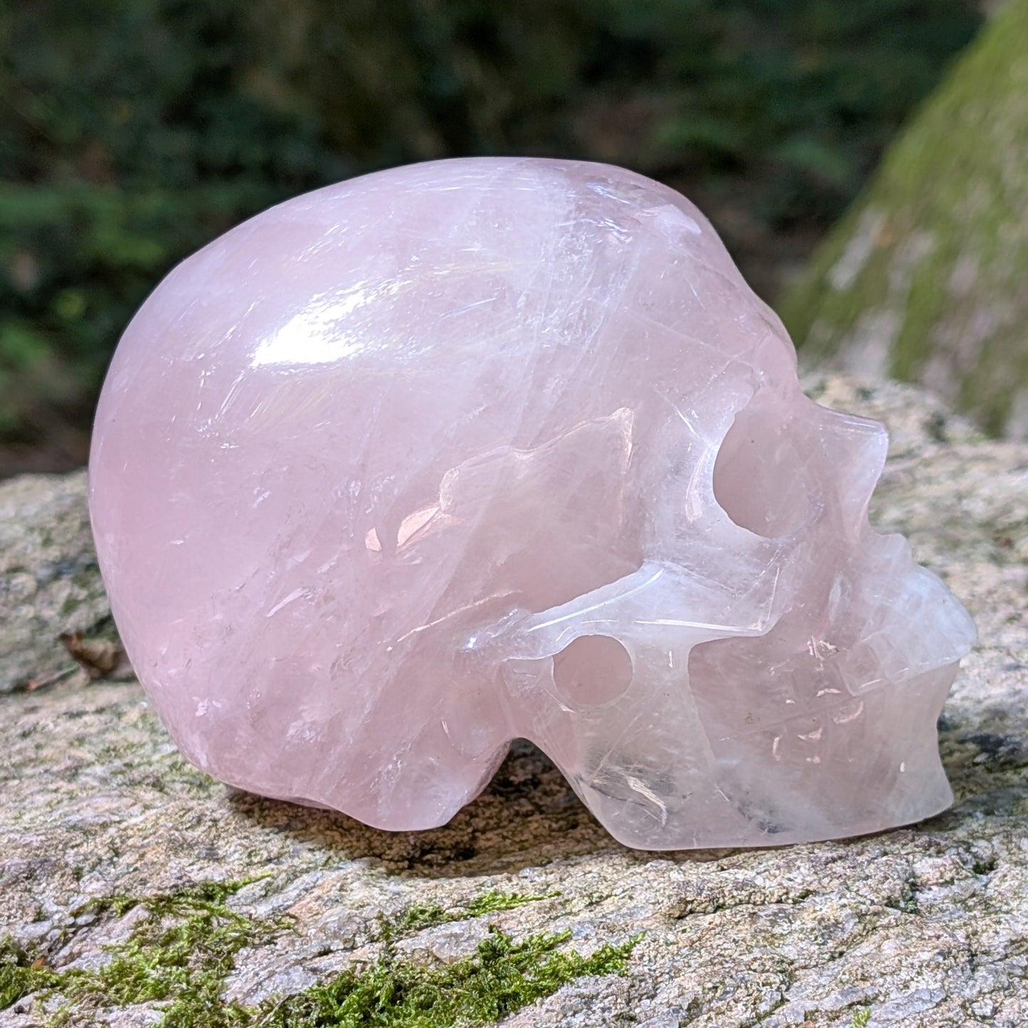 Kristallschädel "Herzensflüsterer" aus milchig-rosa Rosenquarz.