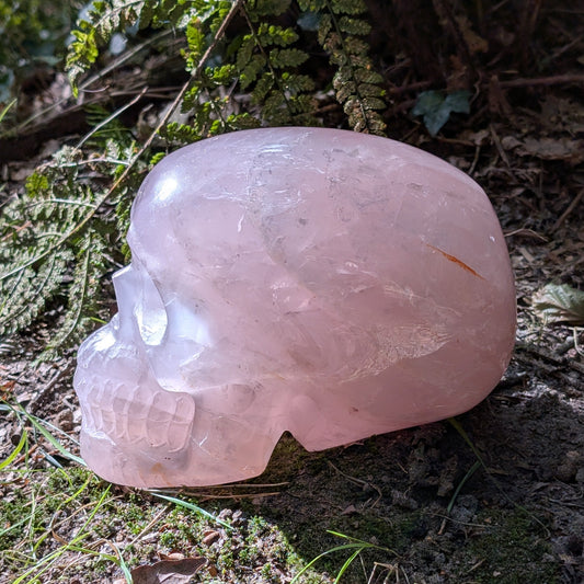 Kristallschädel "Herzensgigant" aus milchig-rosa Rosenquarz.