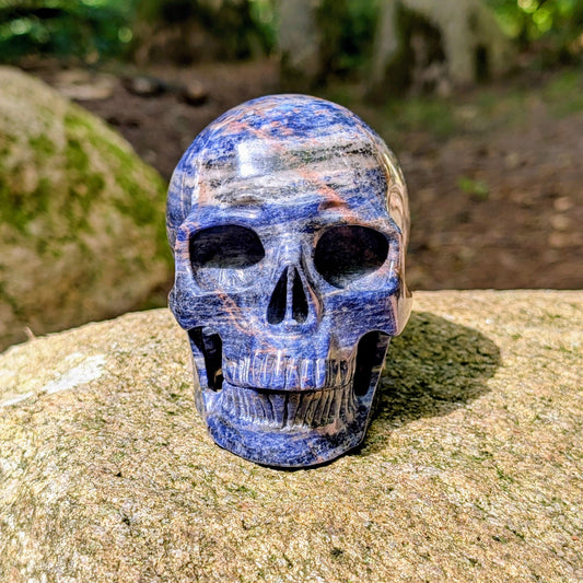 Kristallschädel "Himmelsweiser" aus Sodalith mit blau-weißer Maserung und orange-braunen Adern.
