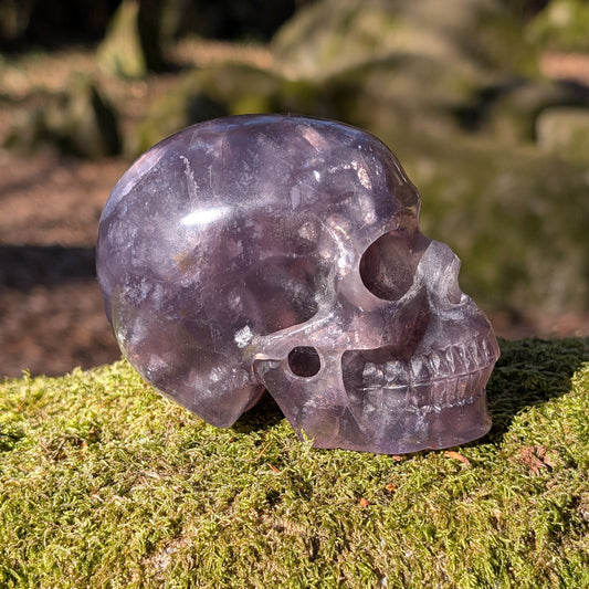 Kristallschädel "Samo" – Harmonie & Weitsicht aus Fluorit