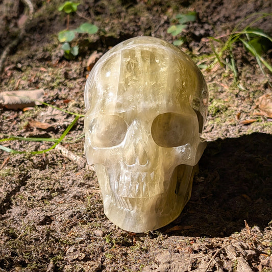 Kristallschädel "Sonnenmanifest" aus klarem, goldgelbem Citrin.