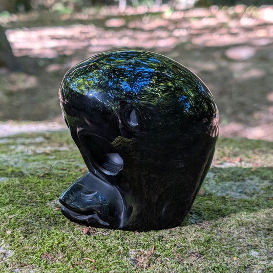 Kristallschädel "Sternenbote" aus tiefschwarzem Obsidian in Form eines Alien-Vogels.