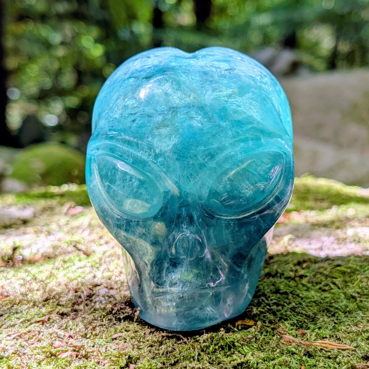 Kristallschädel "Sternenkind" aus blauem Fluorit in der Form eines Alien-Schädels.