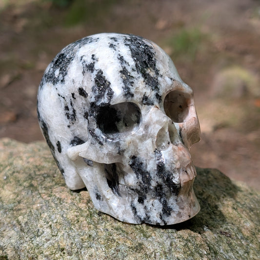 Kristallschädel "Sternenstaub" aus Granit mit schwarzer, weißer und rosafarbener Maserung.
