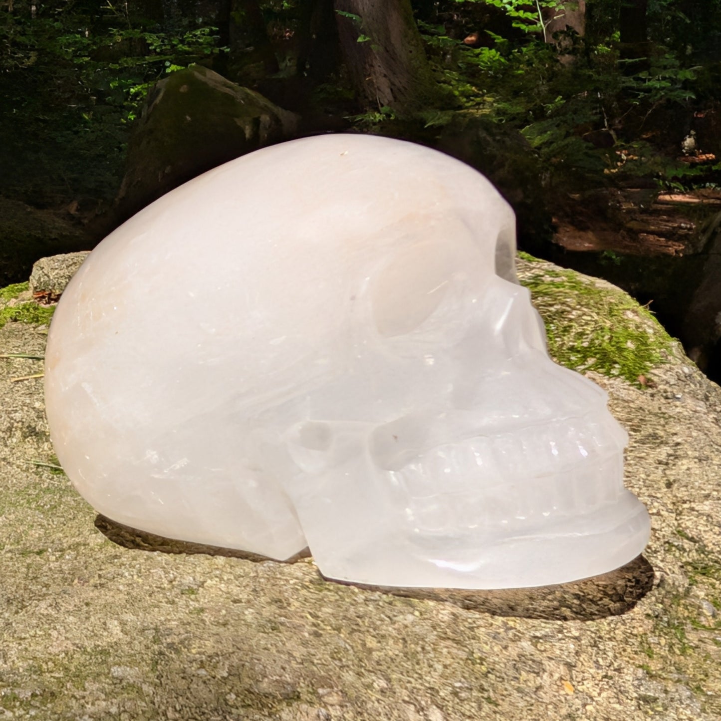 Kristallschädel "Titan der Klarheit" aus milchig-weißem Bergkristall.