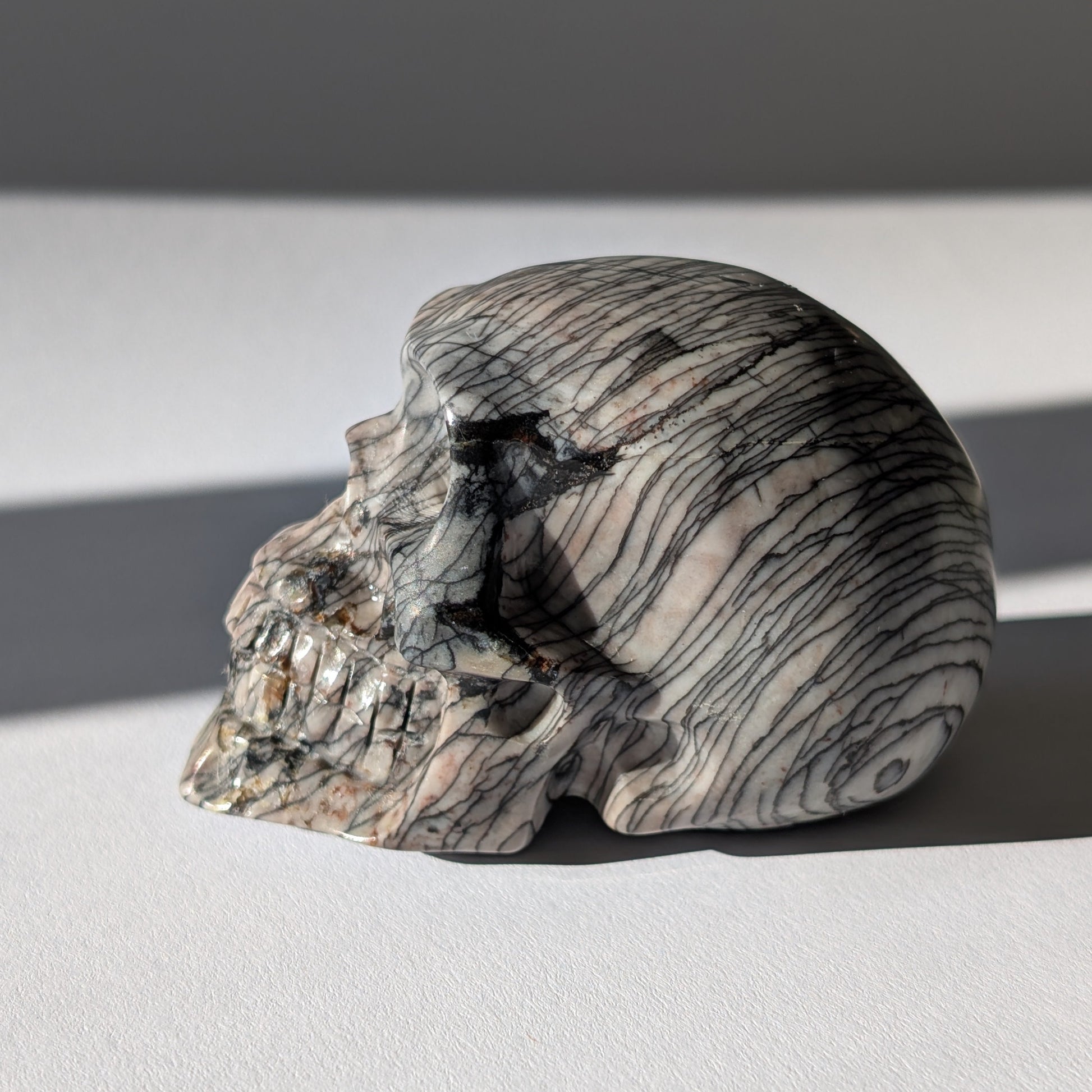 Kristallschädel "Townguard" (360g) aus Kalkstein mit markanter schwarz-weißer Zebra-Musterung.