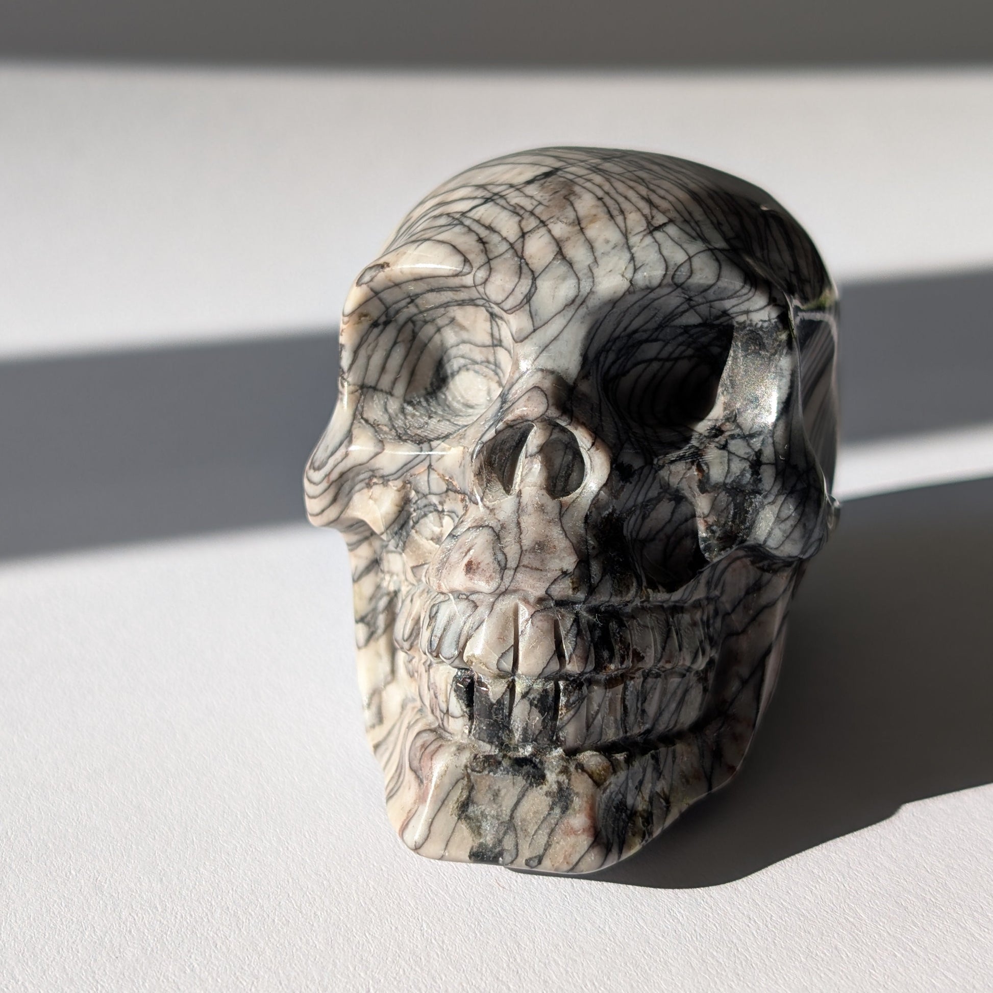 Kristallschädel "Townguard" (360g) aus Kalkstein mit markanter schwarz-weißer Zebra-Musterung.