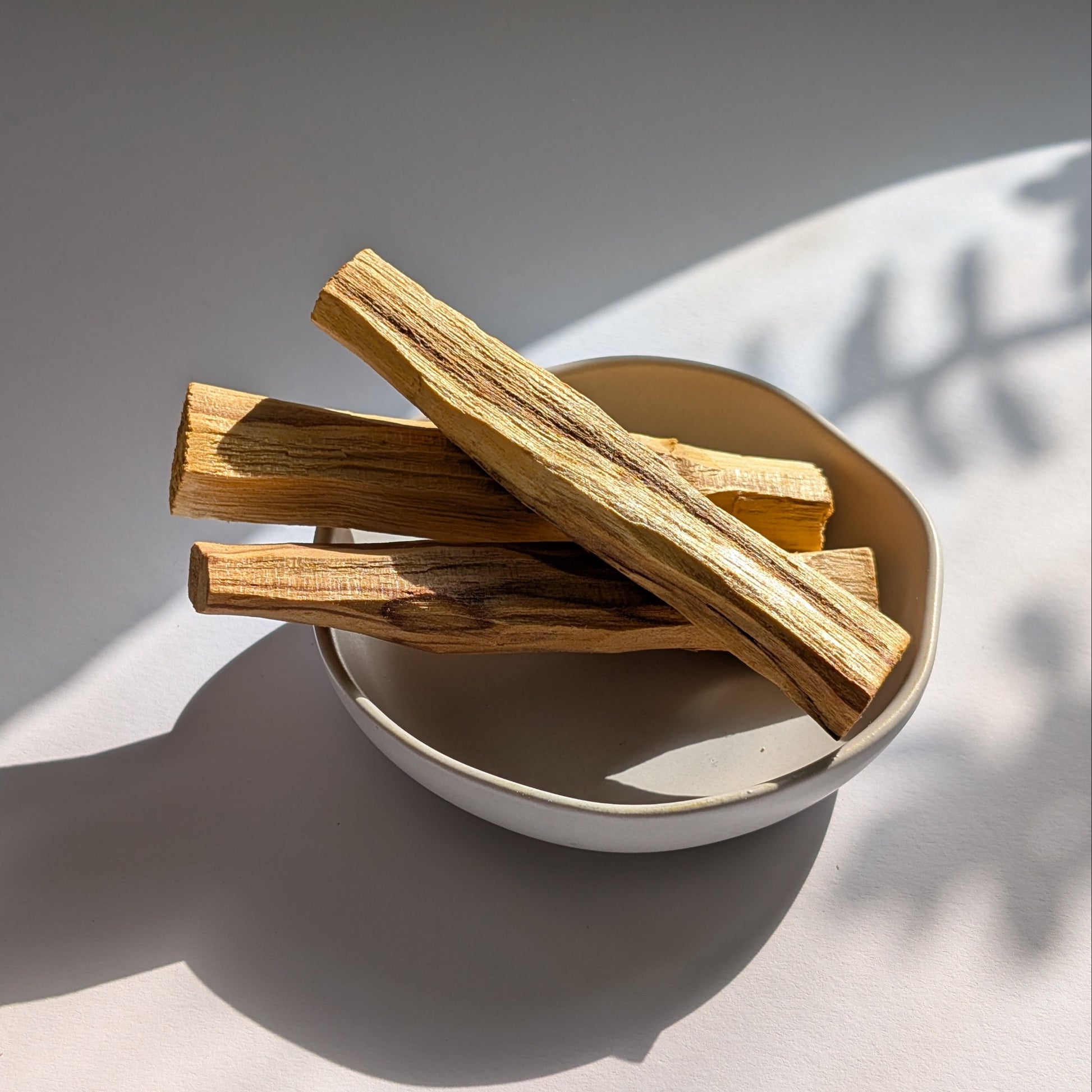 Palo Santo | Heiliges Holz