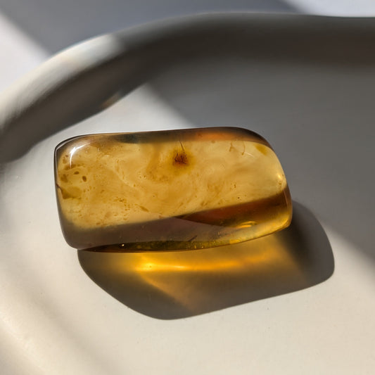 Seltener Bicolor-Bernstein 'Die Zeitkapsel der Vorzeit' mit außergewöhnlicher Klarheit und leuchtenden inneren Strukturen.