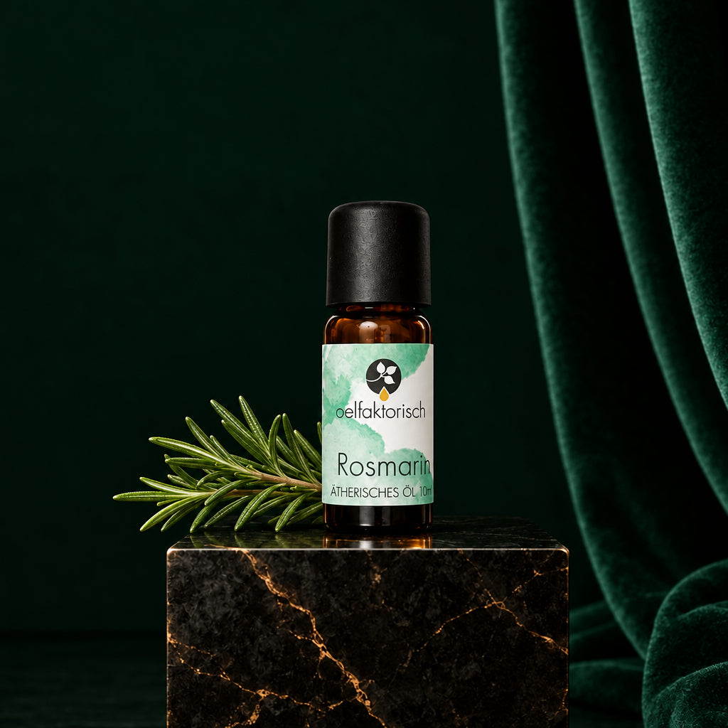 Ätherisches Öl „Rosmarin“ von oelfaktorisch, 10-ml-Fläschchen
