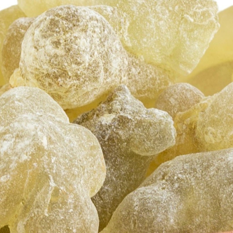 Grüner Hojari – helle, grünlich-gelbe Weihrauchtränen aus dem Oman in Nahaufnahme