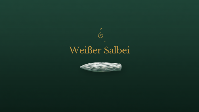Blog-Titelbild Weißer Salbei – Susorama Smudge-Sets im Temple of Desire