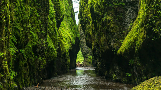 Geomantie: Erdenergien, Ley-Linien erklärt