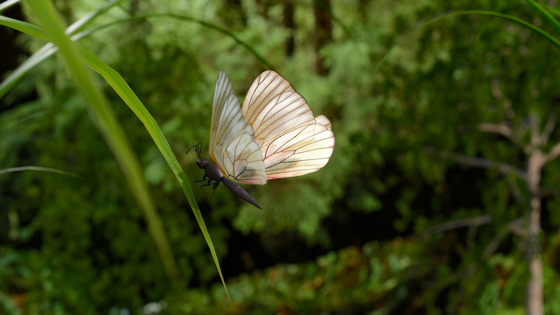 Krafttier Schmetterling: Entdecke deine innere Stärke & Schönheit