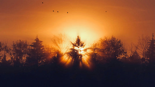 Licht Spiritualität & Esoterik: Symbolik & Energie