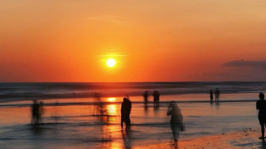 Licht in der Wissenschaft: Photonen, Farben & Biophotonik