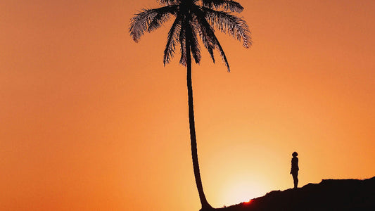 Lichtarbeit: Visualisierung, Meditation & Therapie