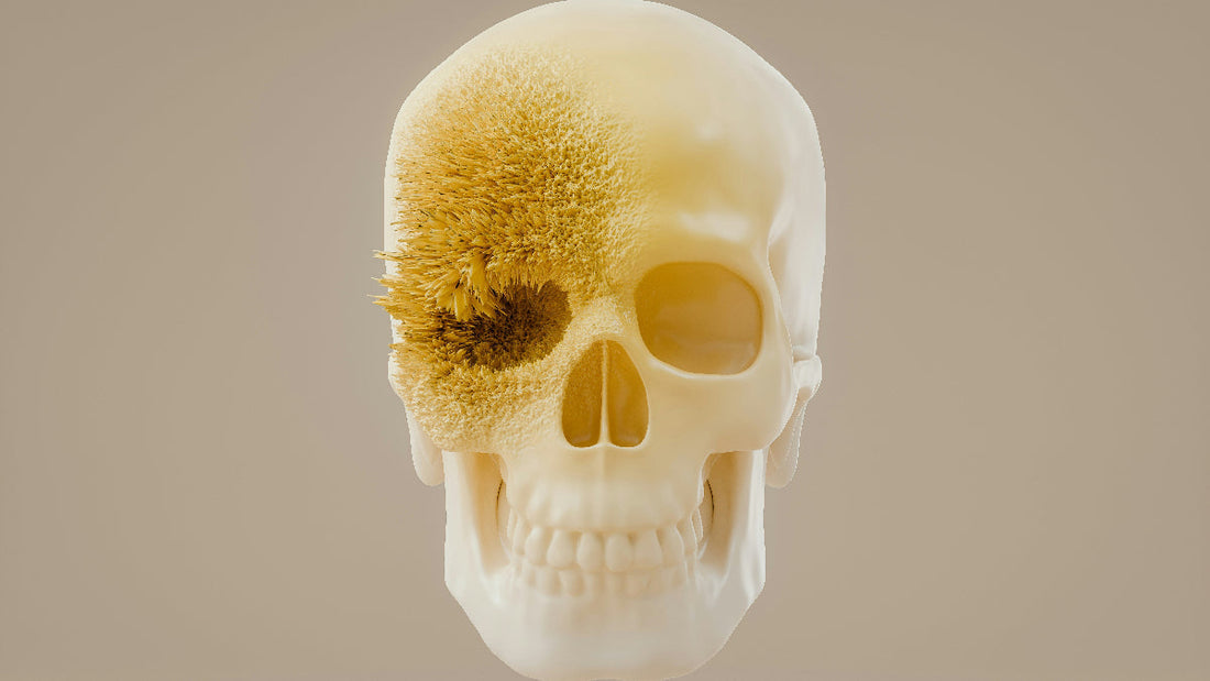 Mit Kristallschädel schlafen: Ein Guide für die Traumarbeit