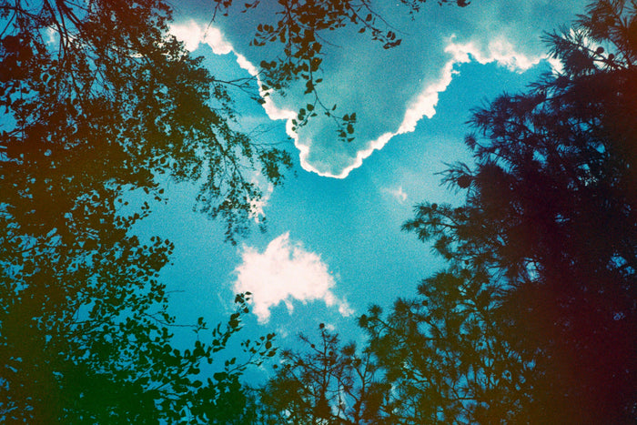 Nach der Reise: Die Kunst der psychedelischen Integration – spirituelle Bedeutung & Wissen | Temple of Desire