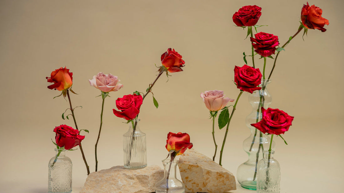 Salbei & Rose Räucherbündel: Sanfte Reinigung für Liebe & Harmonie