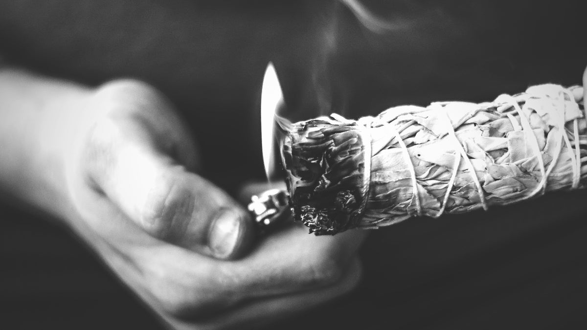 Weißer Salbei: Wirkung & Anleitung zum richtigen Räuchern – spirituelle Bedeutung & Wissen | Temple of Desire