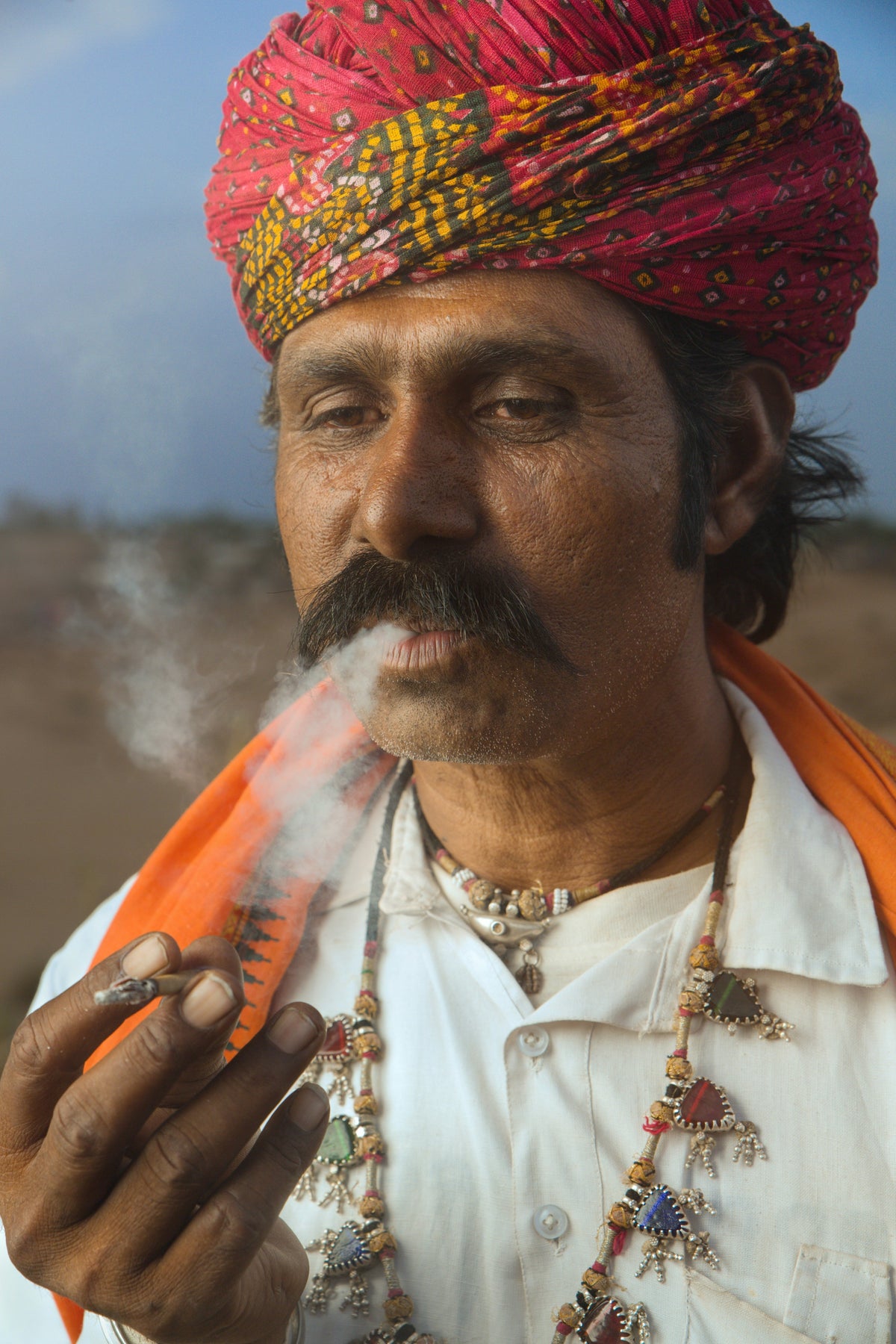 Schamanische Reisen: Die Rolle von Fliegenpilz, Cannabis & Co. – spirituelle Bedeutung & Wissen | Temple of Desire