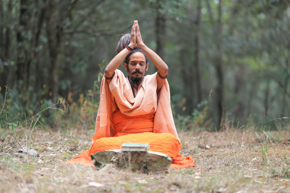 Guru und Avatar: Göttliche Führung und die Natur des Göttlichen