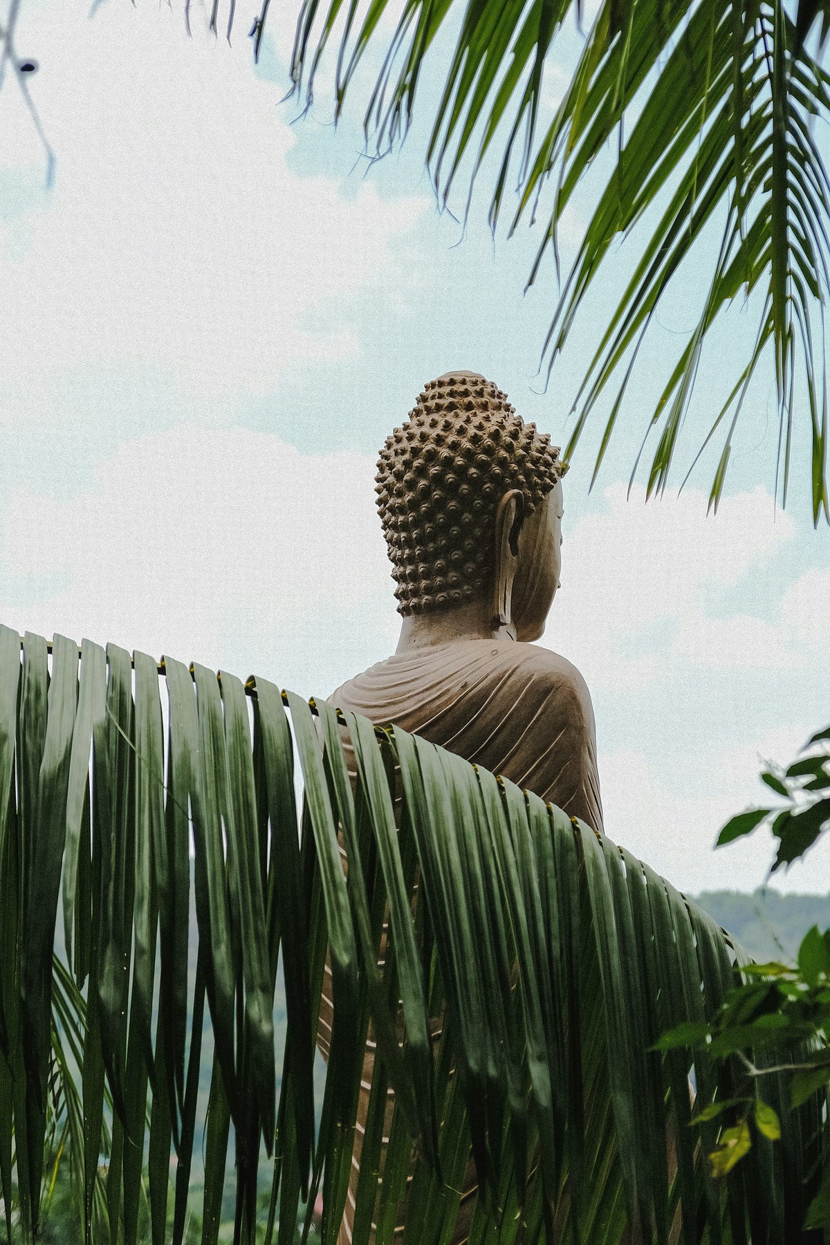 Maitri Meditation: Mitgefühl & Liebe kultivieren - Anleitung – spirituelle Bedeutung & Wissen | Temple of Desire