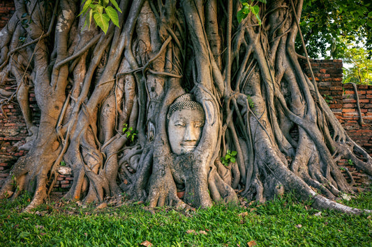 7 Zeichen spirituellen Wachstums: Erkenne deinen Fortschritt